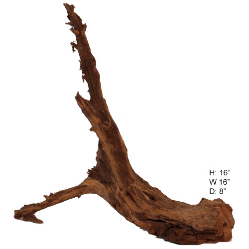 Malaysian Driftwood, Super WYSIWYG 16" x 16"