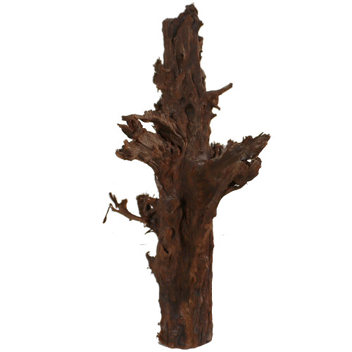 Malaysian Driftwood, Super WYSIWYG 20" x 10"