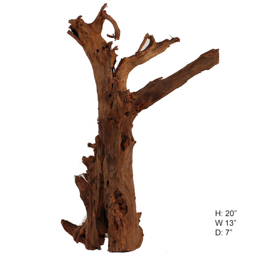 Malaysian Driftwood, Super WYSIWYG 20" x 13"