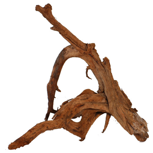 Malaysian Driftwood, Super WYSIWYG 17" x 16"