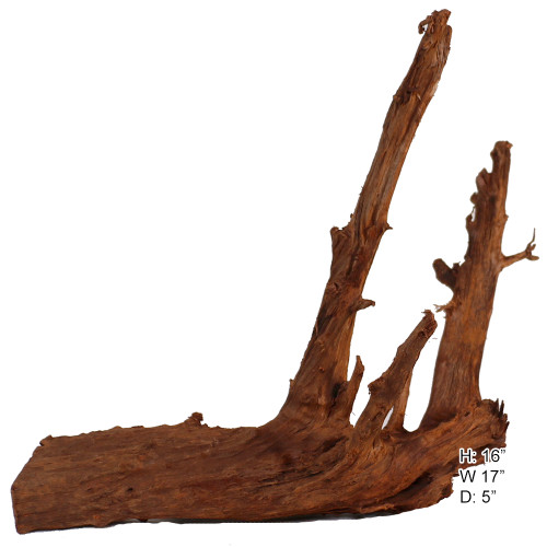 Malaysian Driftwood, Super WYSIWYG 16" x 17"