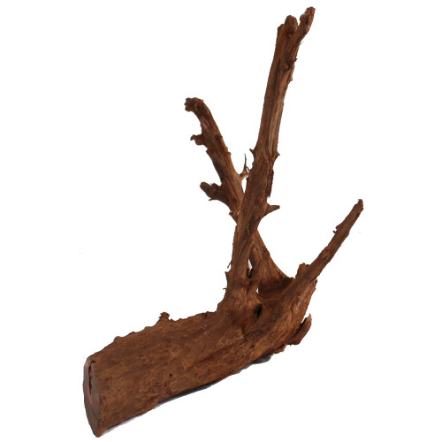 Malaysian Driftwood, Super WYSIWYG 16" x 17"