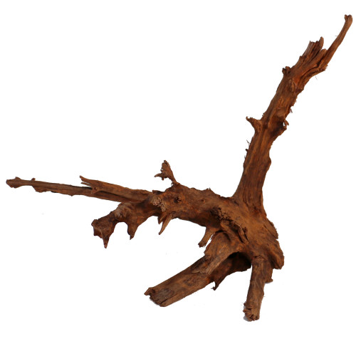 Malaysian Driftwood, Super WYSIWYG 17" x 18"