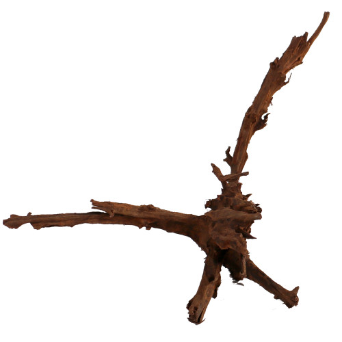 Malaysian Driftwood, Super WYSIWYG 17" x 18"