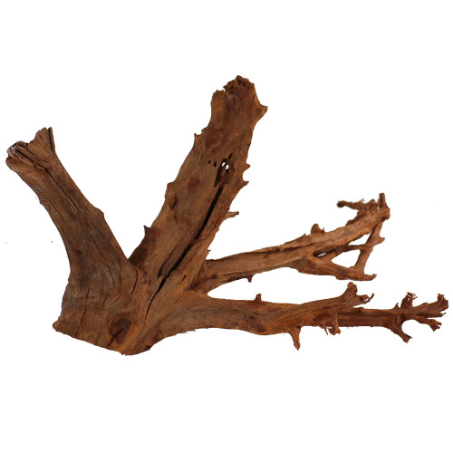 Malaysian Driftwood, Super WYSIWYG 12" x 25"