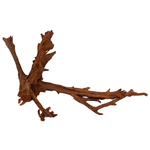 Malaysian Driftwood, Super WYSIWYG 12" x 25"