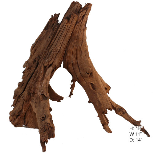 Malaysian Driftwood, Super WYSIWYG 18" x 11"