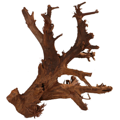 Malaysian Driftwood, Super WYSIWYG 16" x 17"