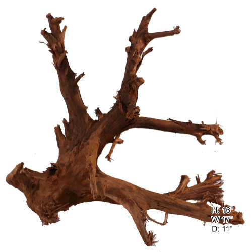 Malaysian Driftwood, Super WYSIWYG 16" x 17"