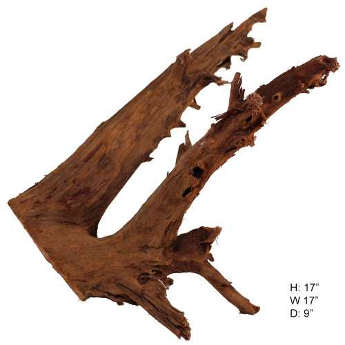 Malaysian Driftwood, Super WYSIWYG 17" x 17"