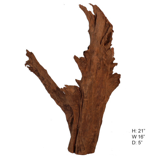 Malaysian Driftwood, Super WYSIWYG 21" x 16"