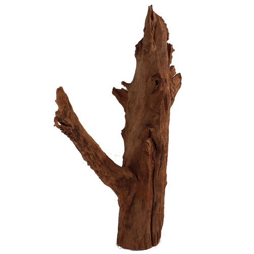 Malaysian Driftwood, Super WYSIWYG 21" x 16"