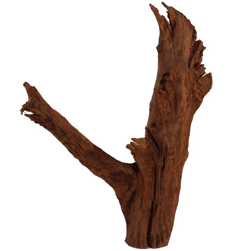 Malaysian Driftwood, Super WYSIWYG 21" x 16"
