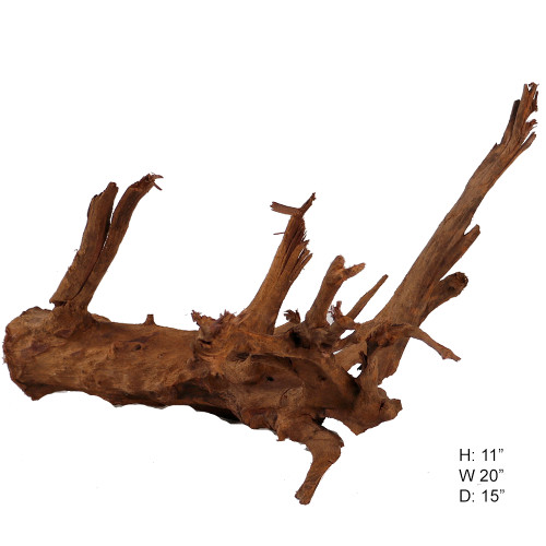 Malaysian Driftwood, Super WYSIWYG 11" x 20"