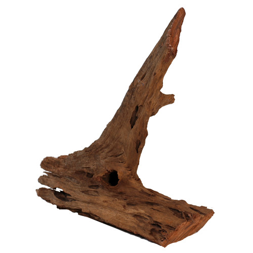 Malaysian Driftwood, Super WYSIWYG 17" x 16"