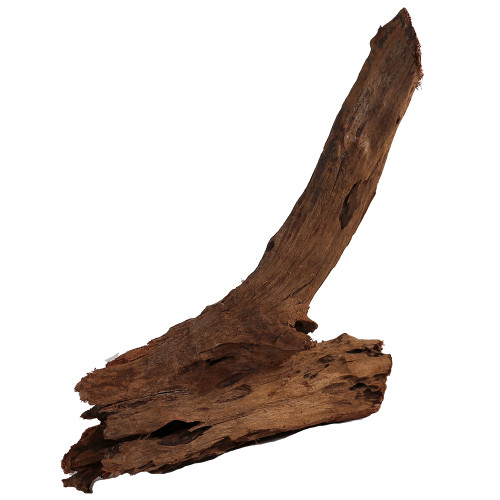 Malaysian Driftwood, Super WYSIWYG 17" x 16"