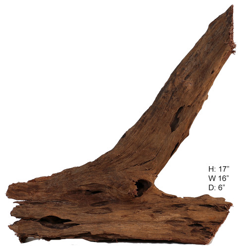 Malaysian Driftwood, Super WYSIWYG 17" x 16"