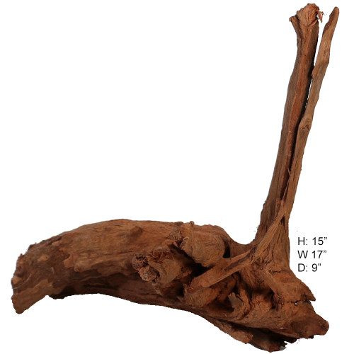 Malaysian Driftwood, Super WYSIWYG 15" x 17"