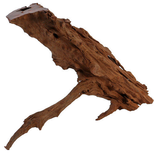 Malaysian Driftwood, Super WYSIWYG 10" x 14"