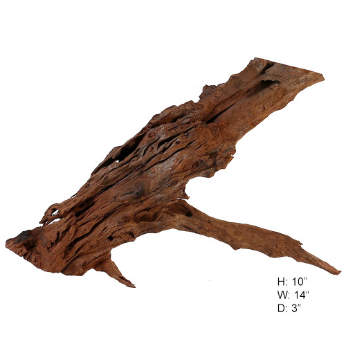 Malaysian Driftwood, Super WYSIWYG 10" x 14"