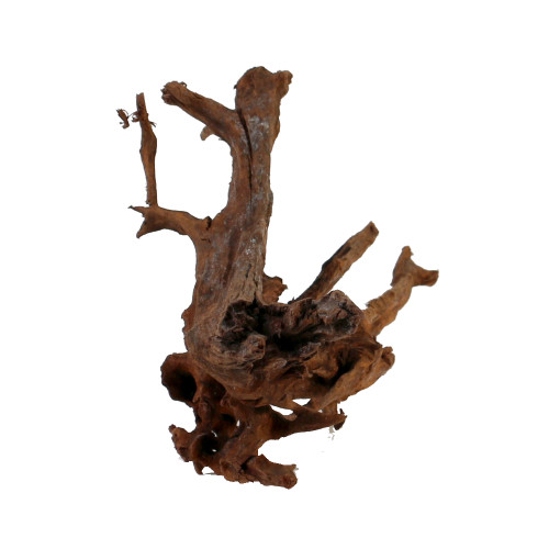 Malaysian Driftwood, Super WYSIWYG 8" x 16"