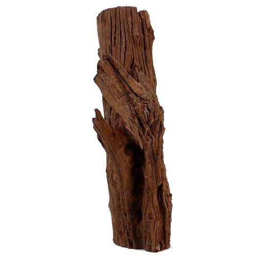 Malaysian Driftwood, Super WYSIWYG 16" x 17"