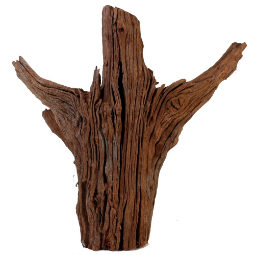 Malaysian Driftwood, Super WYSIWYG 16" x 17"