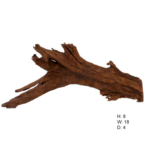Malaysian Driftwood, Super WYSIWYG 8" x 18"