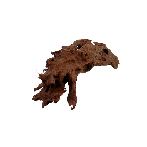 Malaysian Driftwood, Super WYSIWYG 5" x 17"