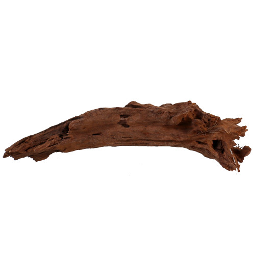Malaysian Driftwood, Super WYSIWYG 5" x 17"