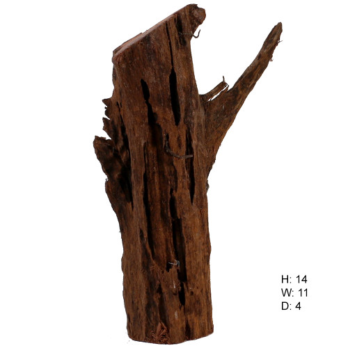 Malaysian Driftwood, Super WYSIWYG 14" x 11"
