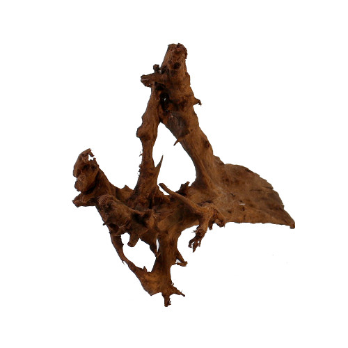 Malaysian Driftwood, Super WYSIWYG 10" x 16"