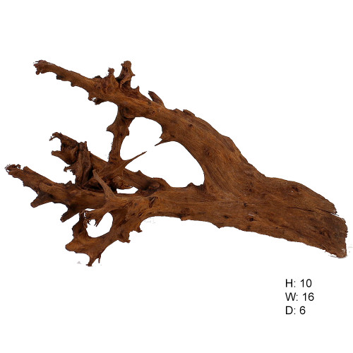 Malaysian Driftwood, Super WYSIWYG 10" x 16"