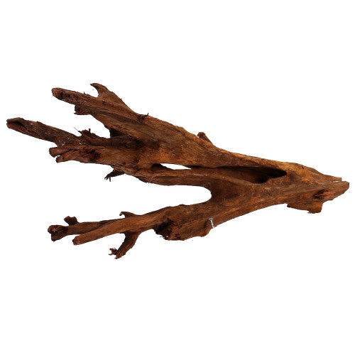 Malaysian Driftwood, Super WYSIWYG 8" x 16"