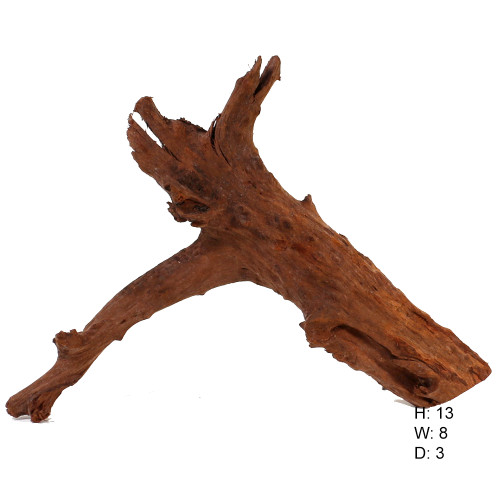 Malaysian Driftwood, Super WYSIWYG 13" x 18"
