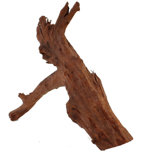 Malaysian Driftwood, Super WYSIWYG 13" x 18"