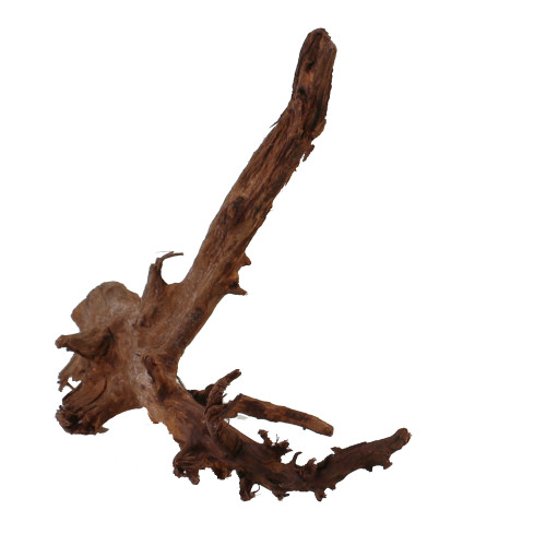 Malaysian Driftwood, Super WYSIWYG 11" x 17"