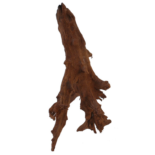 Malaysian Driftwood, Super WYSIWYG 15" x 10"