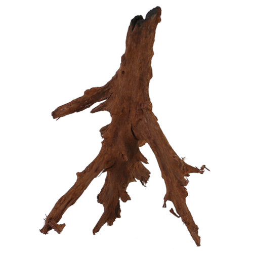 Malaysian Driftwood, Super WYSIWYG 15" x 10"