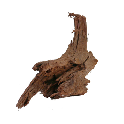 Malaysian Driftwood, Super WYSIWYG 8" x 16"