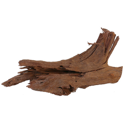 Malaysian Driftwood, Super WYSIWYG 8" x 16"