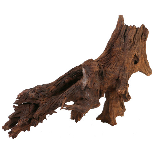 Malaysian Driftwood, Super WYSIWYG 10" x 15"