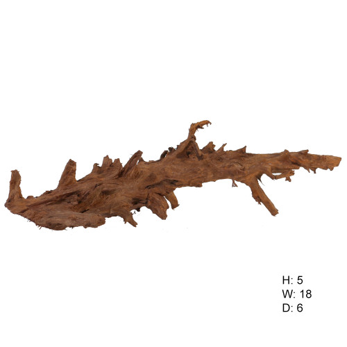 Malaysian Driftwood, Super WYSIWYG 5" x 18"