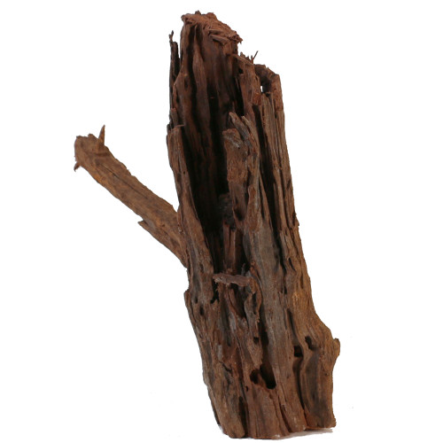 Malaysian Driftwood, Super WYSIWYG 15" x 12"