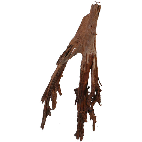 Malaysian Driftwood, Super WYSIWYG 17" x 12"
