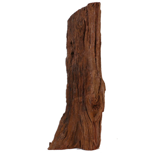 Malaysian Driftwood, Super WYSIWYG 18" x 7"