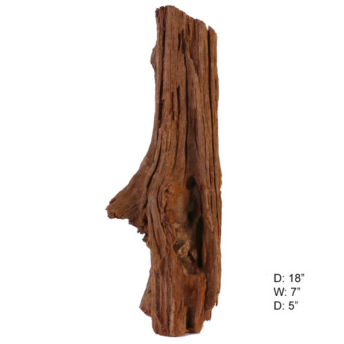 Malaysian Driftwood, Super WYSIWYG 18" x 7"