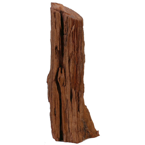 Malaysian Driftwood, Super WYSIWYG 18" x 7"