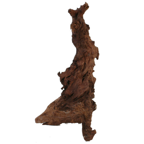 Malaysian Driftwood, Super WYSIWYG 16" x 12"
