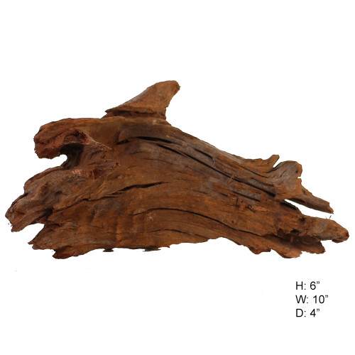 Malaysian Driftwood, Super WYSIWYG 6" x 10"